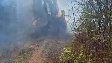 Yalova’da Orman Yangını Kontrol Altına Alındı